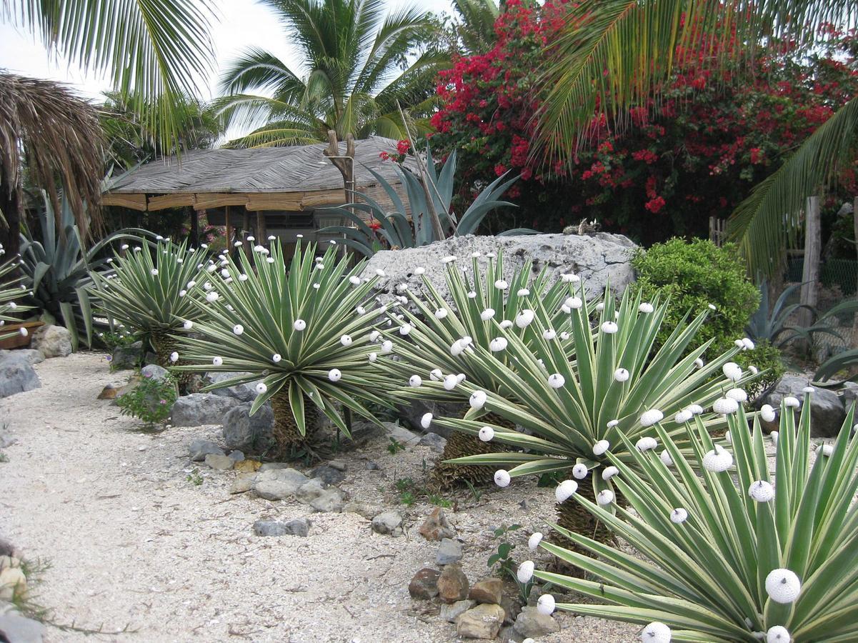 Casa Las Piedras Bed & Breakfast Troncones Exterior foto